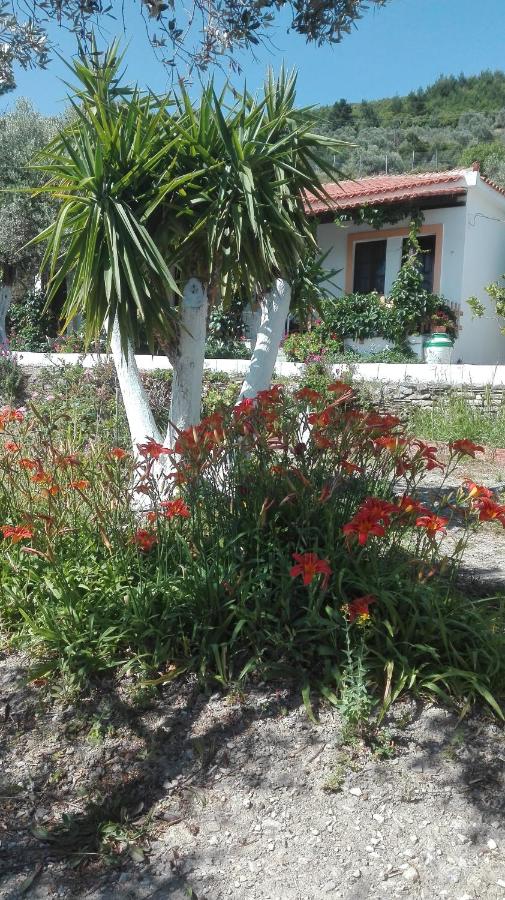 Gregory Studios - B&B Kokkári