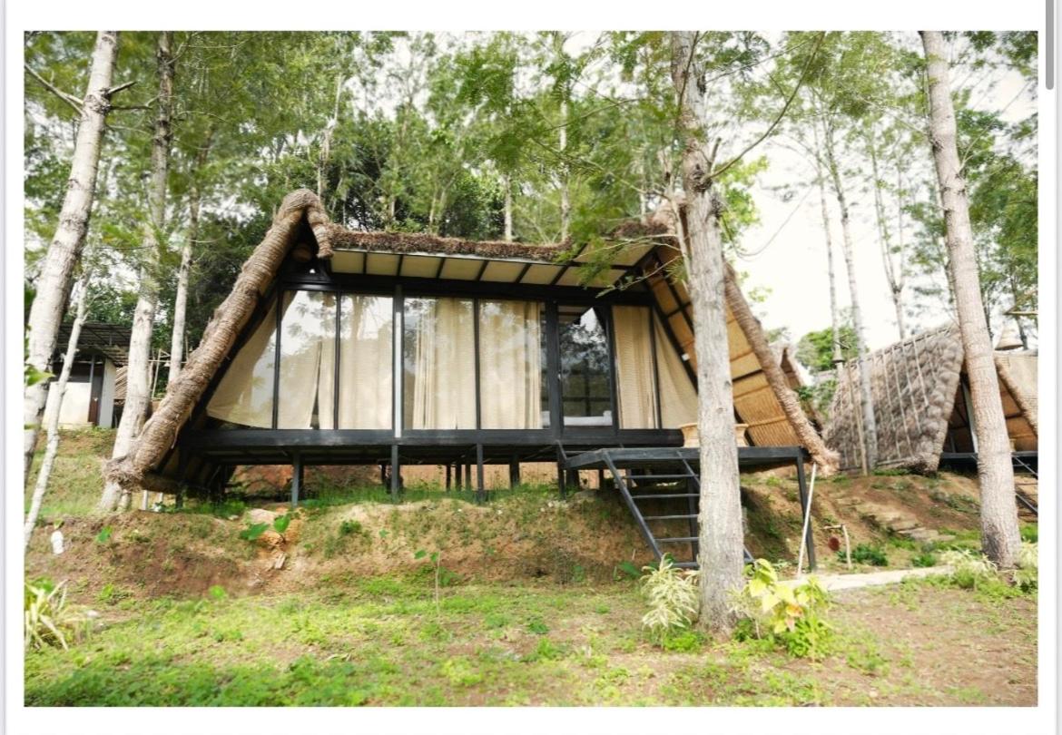 Lil Thatched camp - B&B