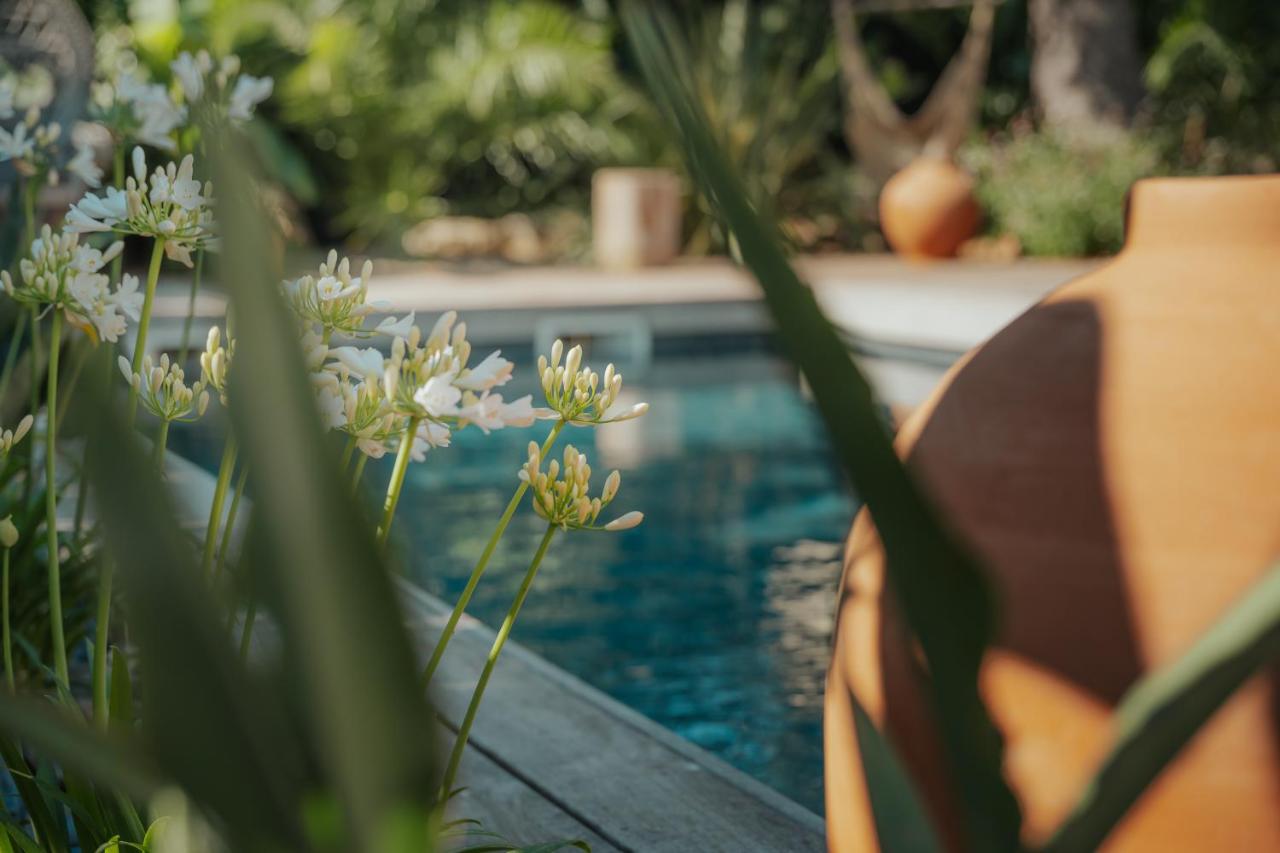 L'Oasis Vendargues - B&B