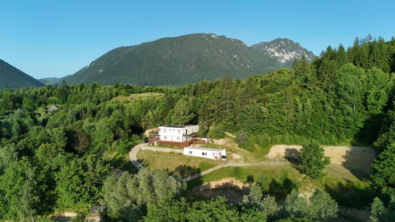 Panoramic Paradise Estate - Sauna & Pool - Ferienwohnung Zărneşti
