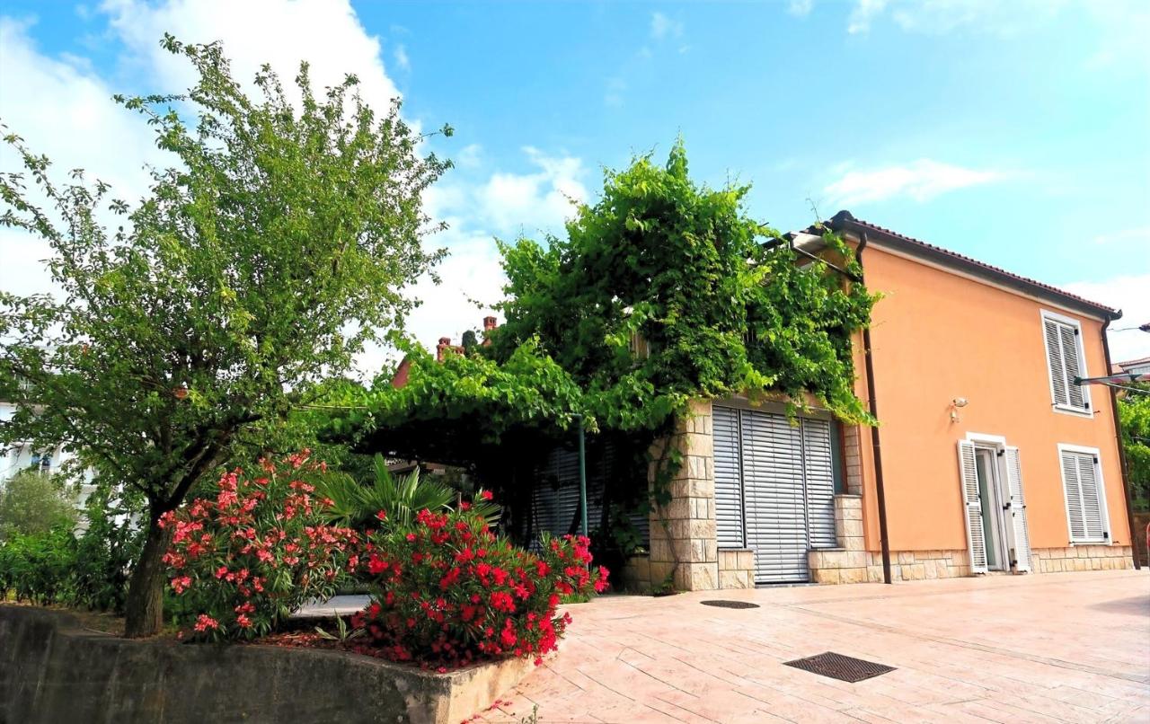 Apartments Čič - B&B