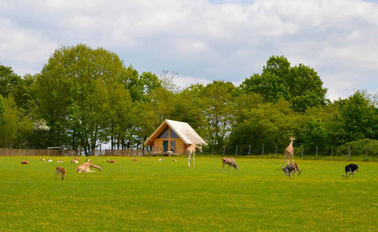 B&B Le Vigen - Les Lodges Du Reynou - Bed and Breakfast Le Vigen