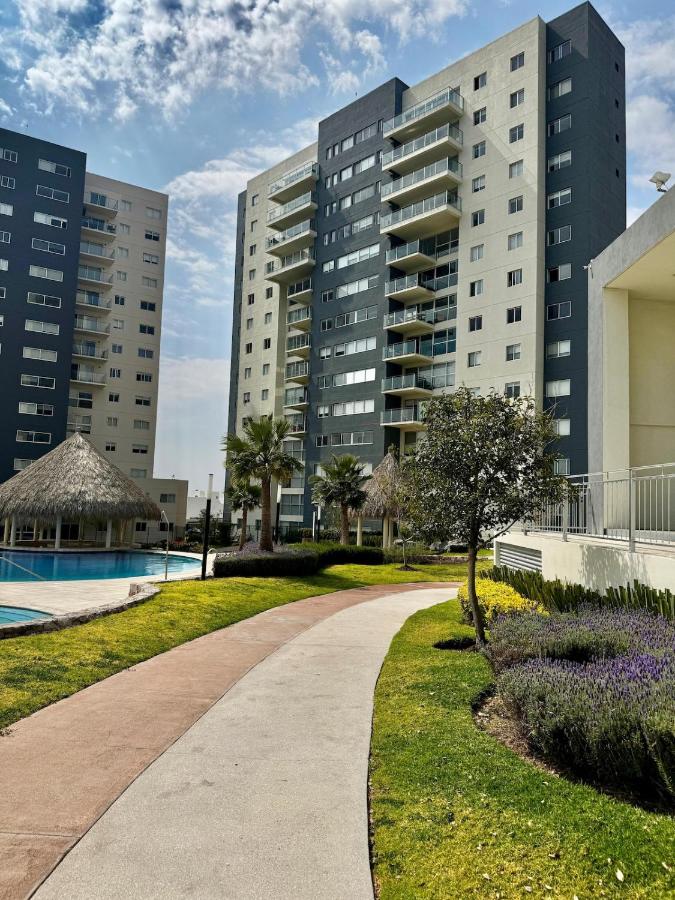 New Bamboo Horizon pool, gym and coworking - B&B Santiago de Querétaro