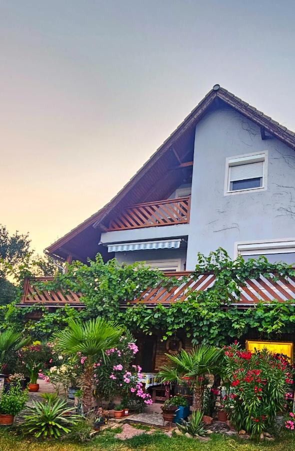 Borostyán Ház - B&B