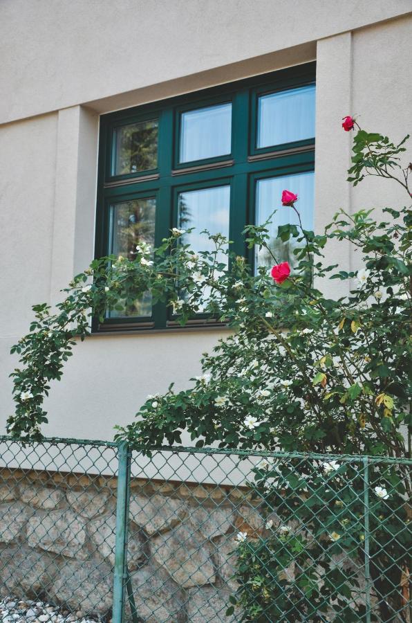 Apartmány Švejdom dom, centrum Bojnice - B&B