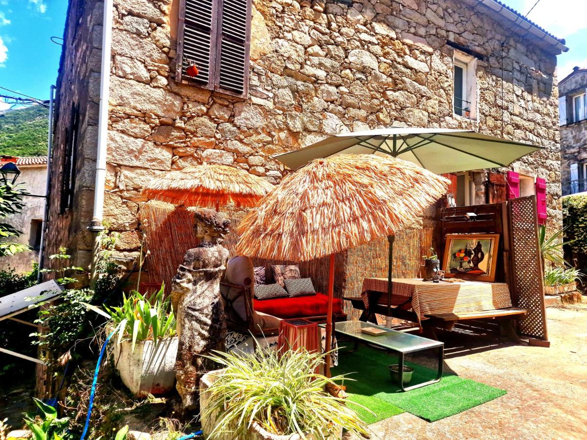 Appart Catalina La Mexicaine - B&B Ucciani