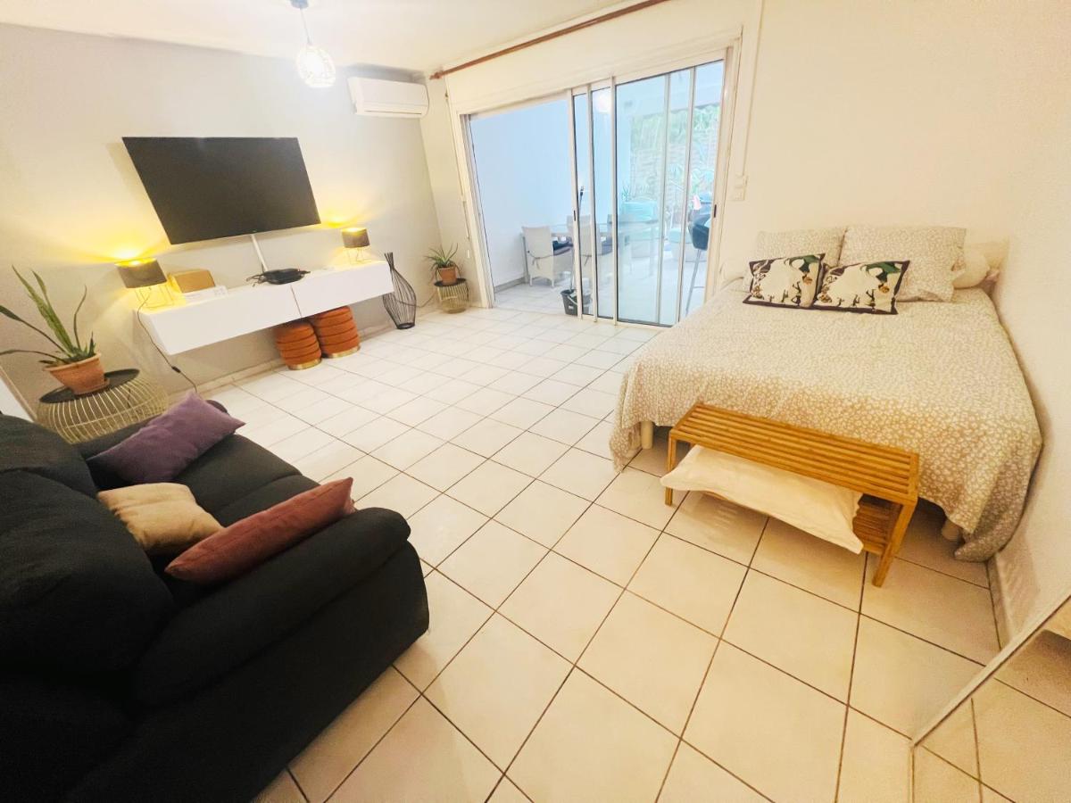 Chaton - B&B Fort-de-France