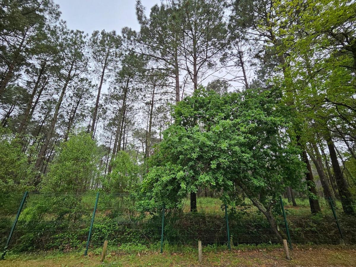 Vacances au bassin d'Arcachon - Ferienwohnung Gujan-Mestras