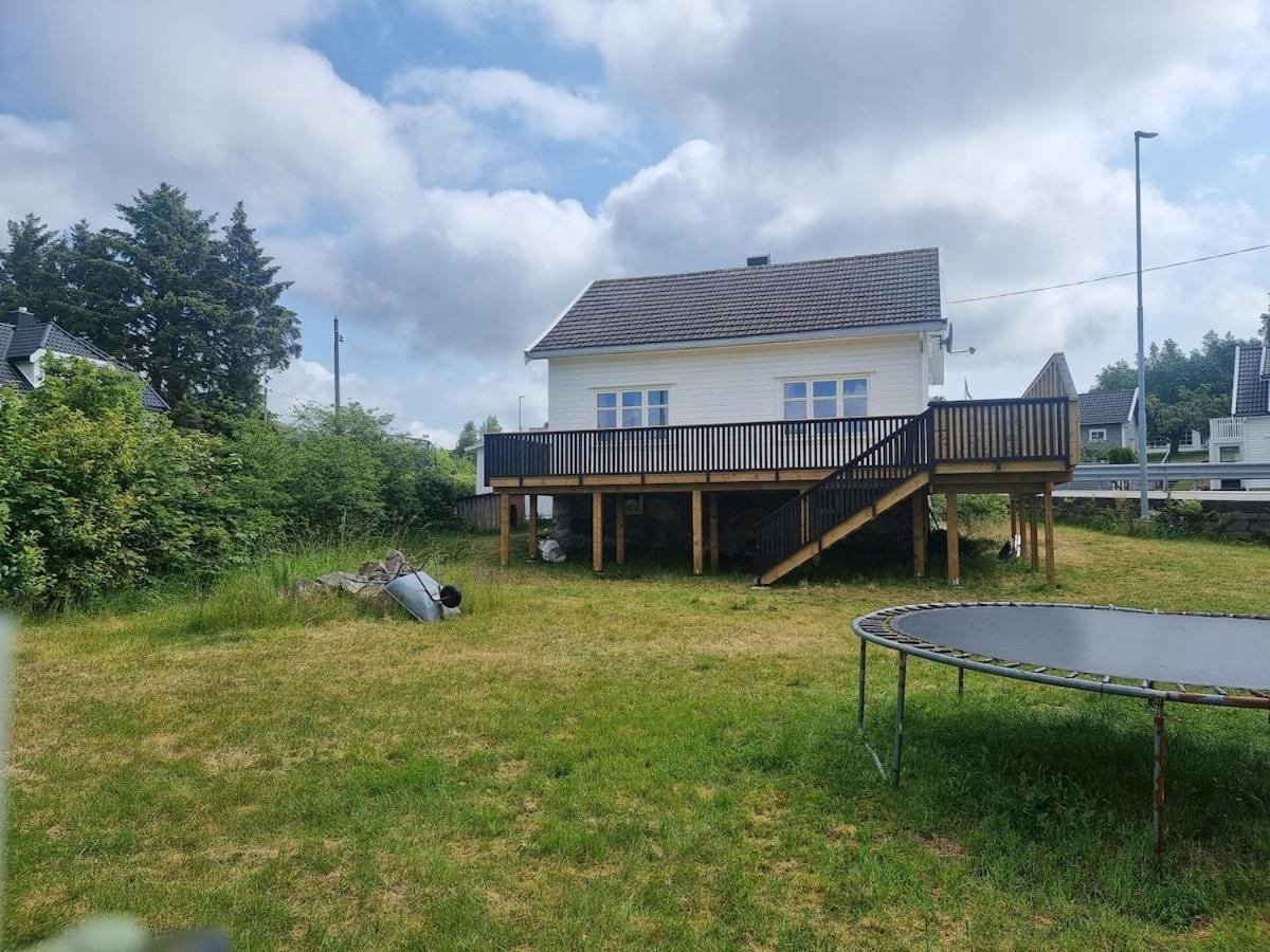 Child and Pet friendly house - B&B