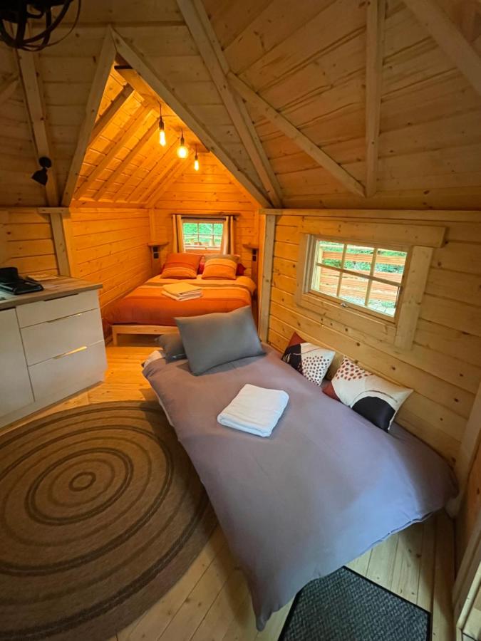 Aux Étangs de Jourgnac - Kota - B&B Jourgnac