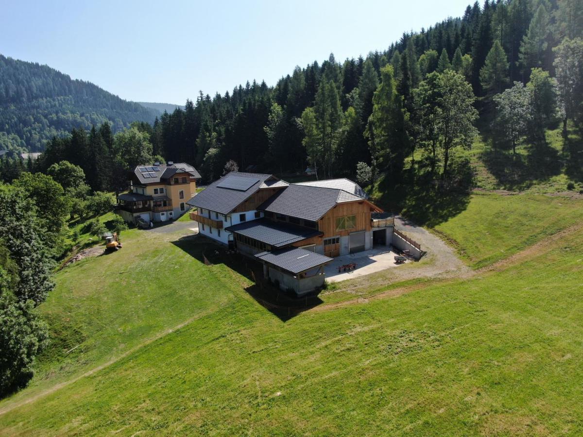 Ferienwohnung Steinacherhof - B&B Arriach