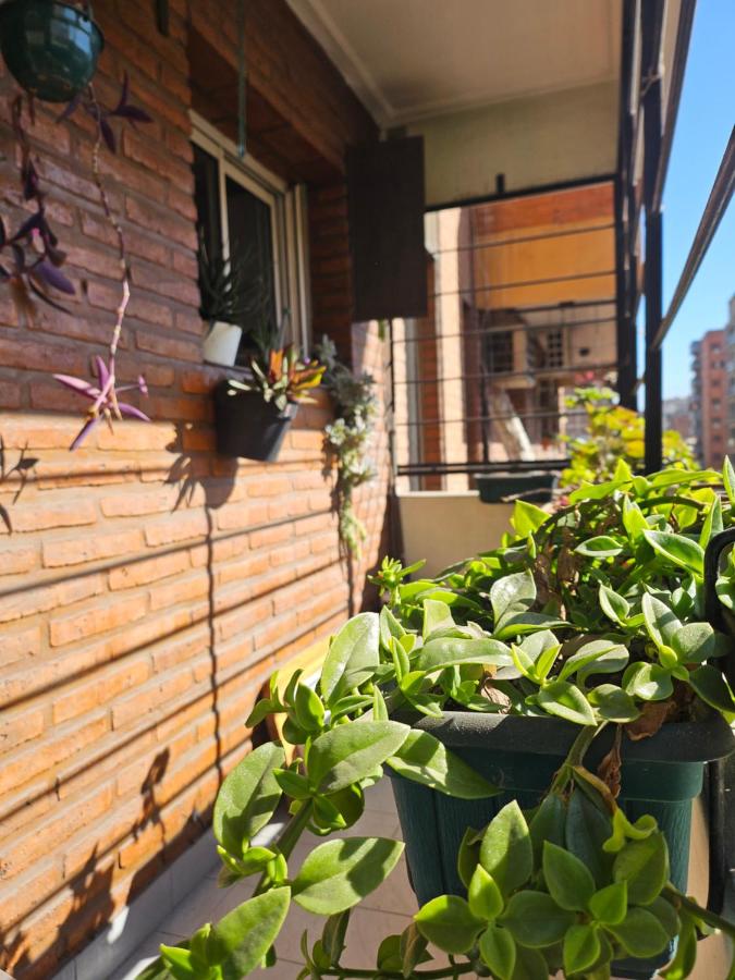 Cozy Vibes Apartment Tucumán - B&B San Miguel de Tucumán