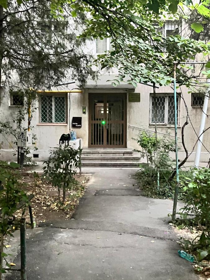 Apartament Tomis Nord, Boema - B&B