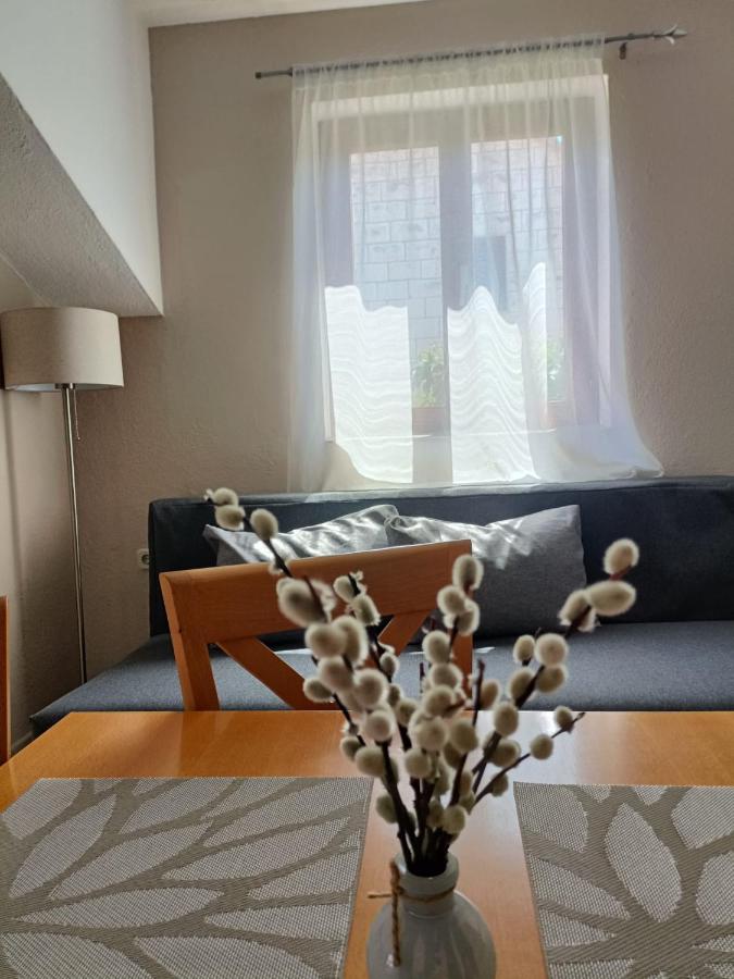 Appartement 1 Chambre
