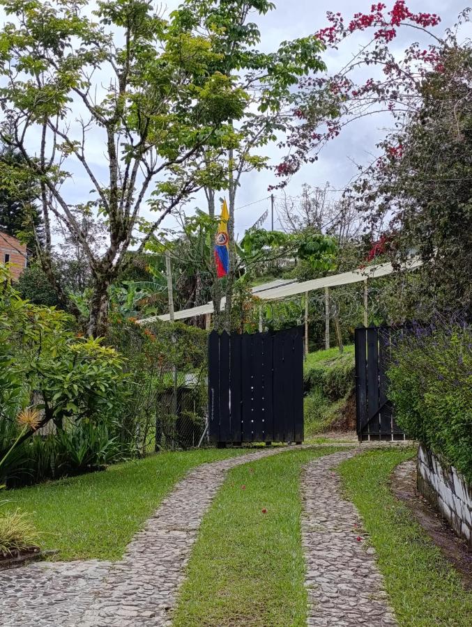 Alma Guatapé - B&B