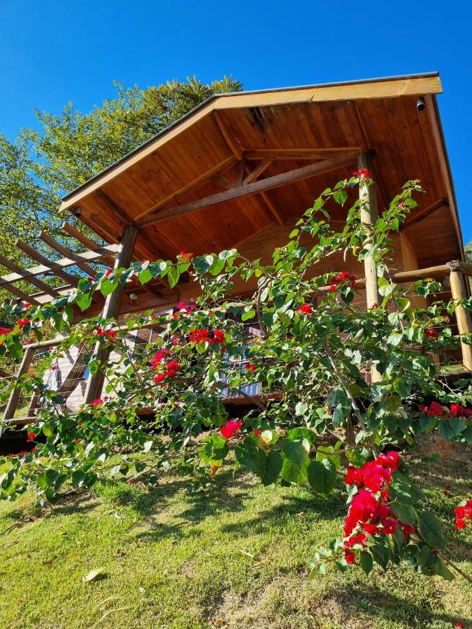 Chalet Superior