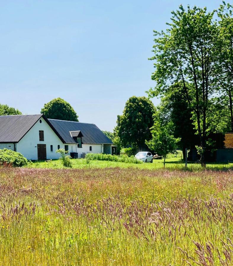 Peaceful Holiday Apartment By Skærbæk Plantation - B&B Them