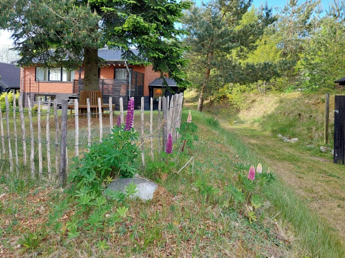 Retro Guest House Near Rebild Hills - B&B