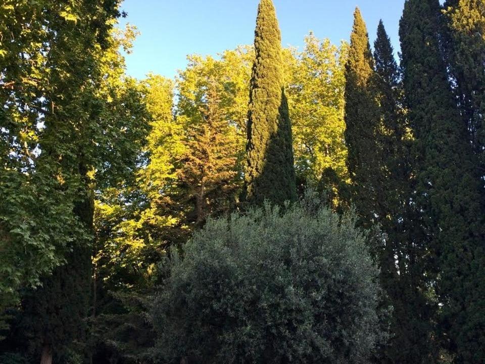 Deluxe Doppel-/Zweibettzimmer mit Gartenblick