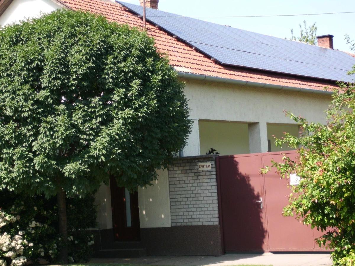 Csányi vendégház - B&B