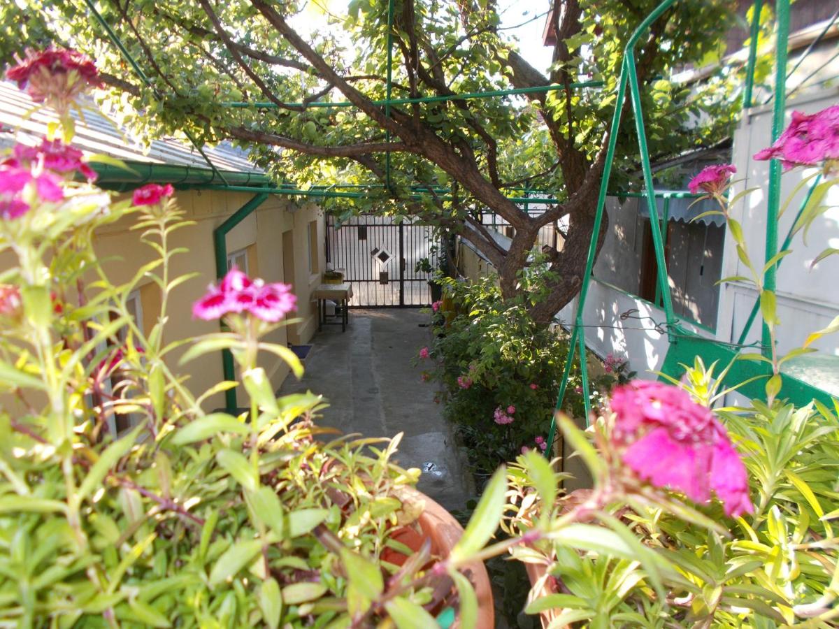 Casa Vlad - B&B Constanza