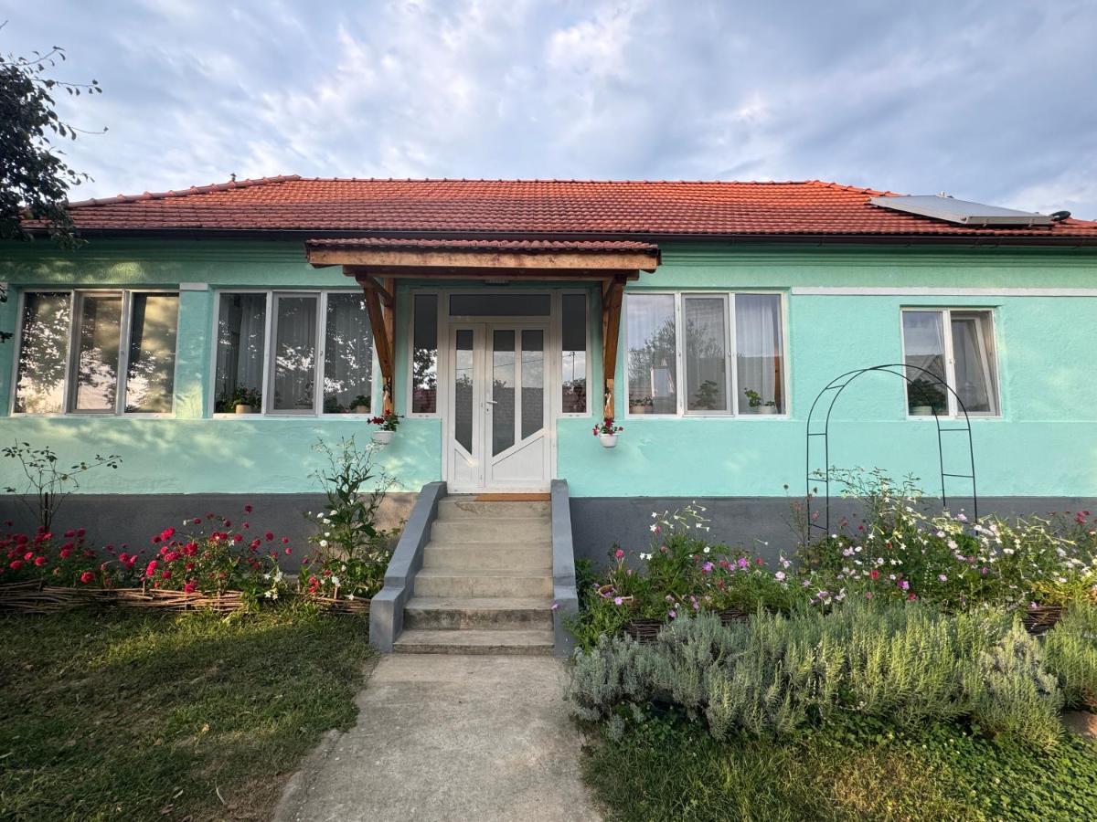 Casa lui Saul - B&B