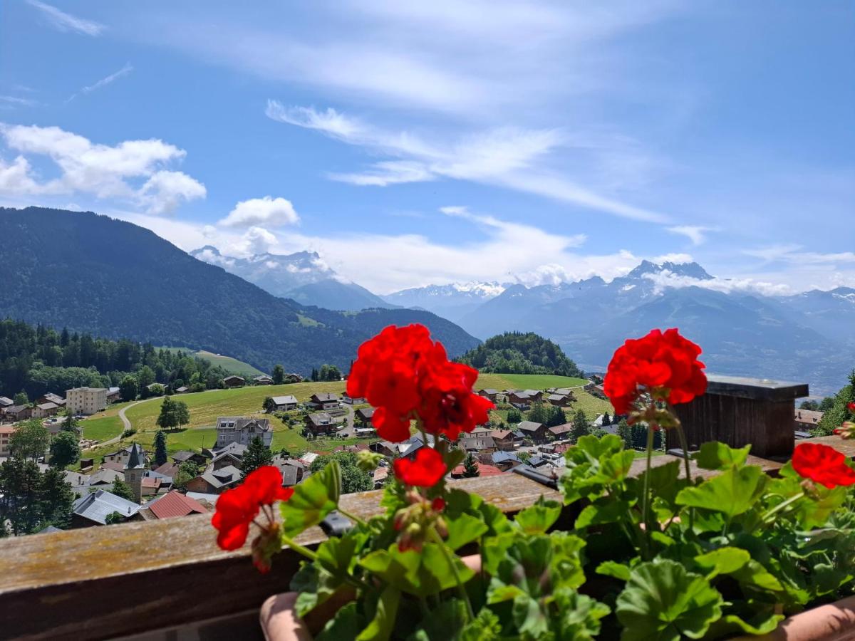 Le Nid d'aigle apt Leysin centre avec forfait piscine sauna jacuzzi en option - B&B Leysin