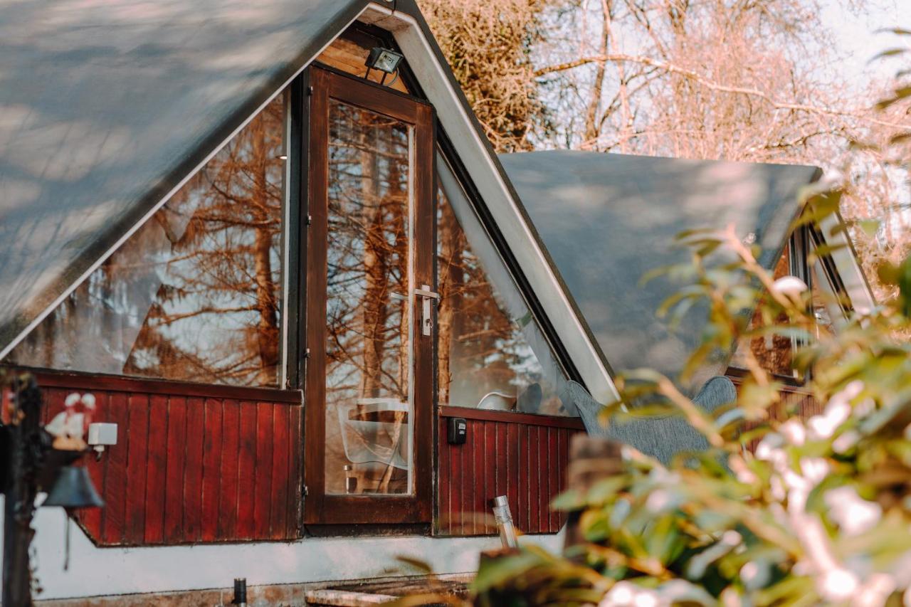 Chambre avec jacuzzi ou Chalets dans les bois - B&B
