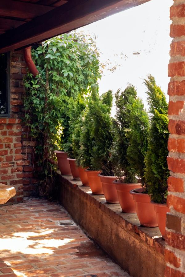 Luconi's - B&B