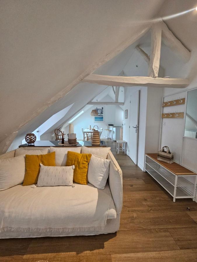 Santorin, Appartement lumineux au coeur de Vannes - Chambres d'hôtes Vannes