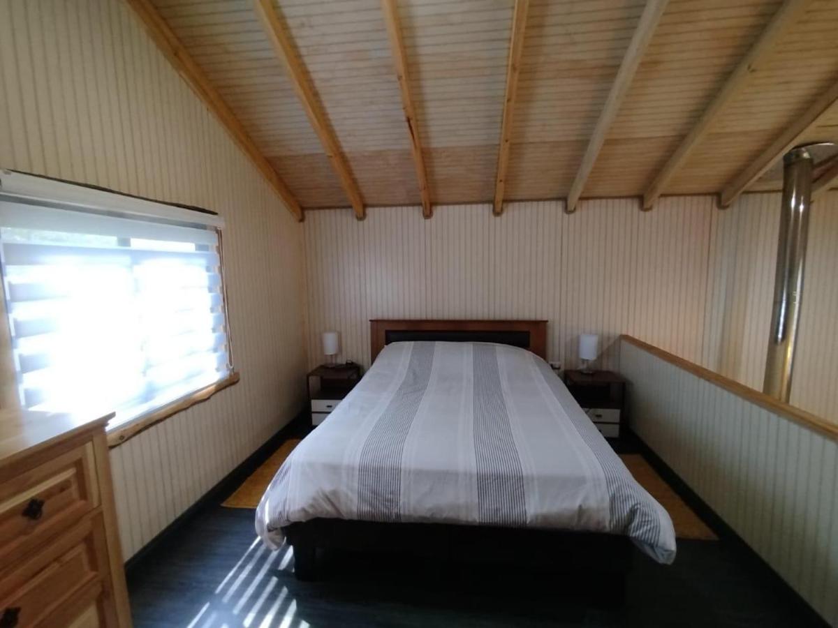 cabañas mañio melipeuco - B&B Melipeuco