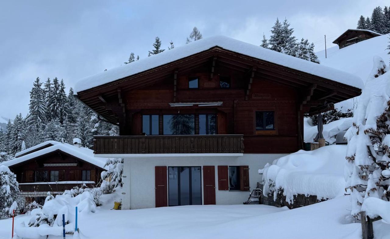 Chalet Schneelöwe - Bed and Breakfast Arni Alp