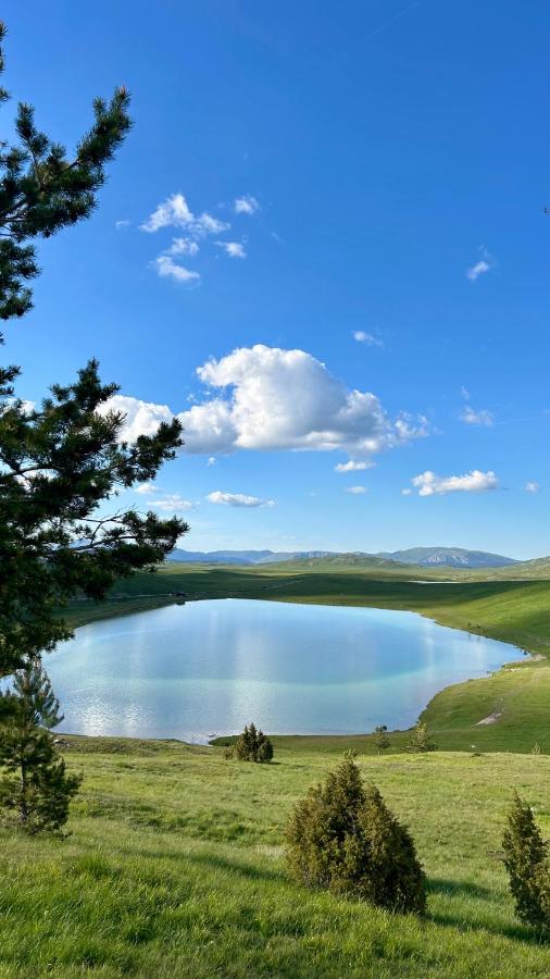 Bella Vista - Bed and Breakfast Žabljak