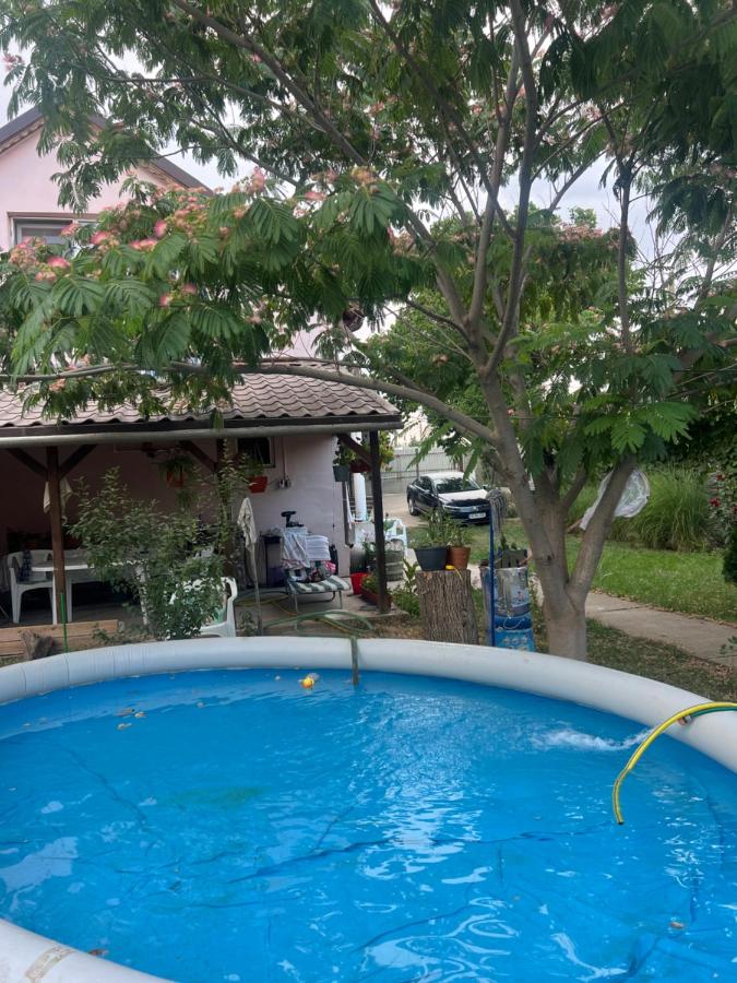 Vila Siminica - B&B