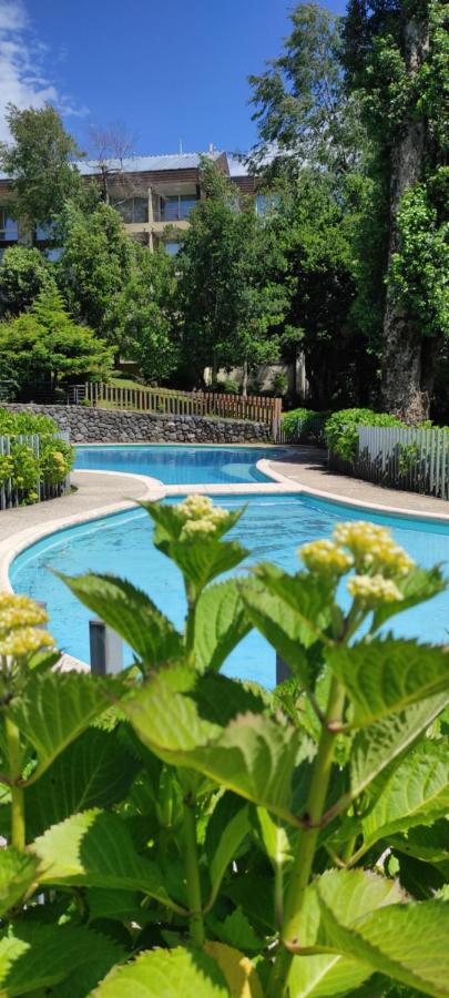 Depto Pucón Parque Payllahue - B&B Pucón