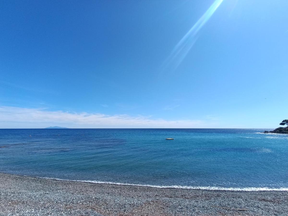 Appartement de charme, T3, situation idéale, pieds dans l'eau, Cap Corse - B&B Lavasina
