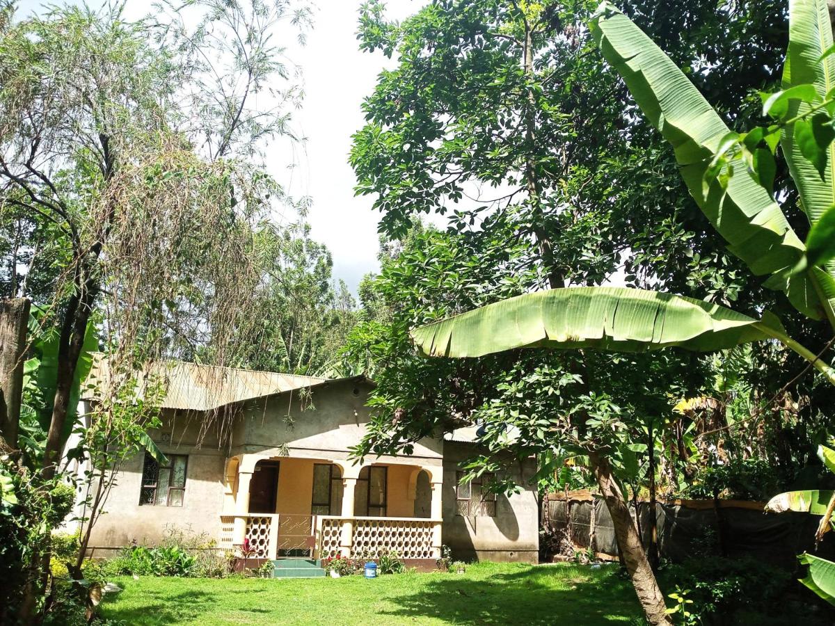Tanzuri House - Cozy Spacious Garden Room 13 min to Arusha City - B&B