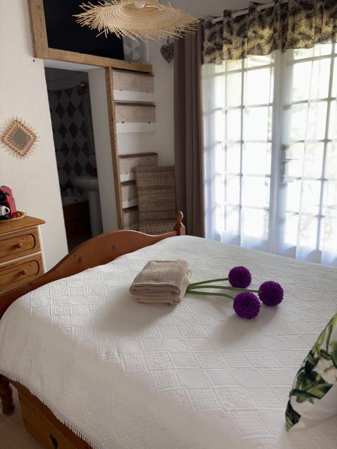 Chambre Bohème chic avec jacuzzi - B&B Liouc