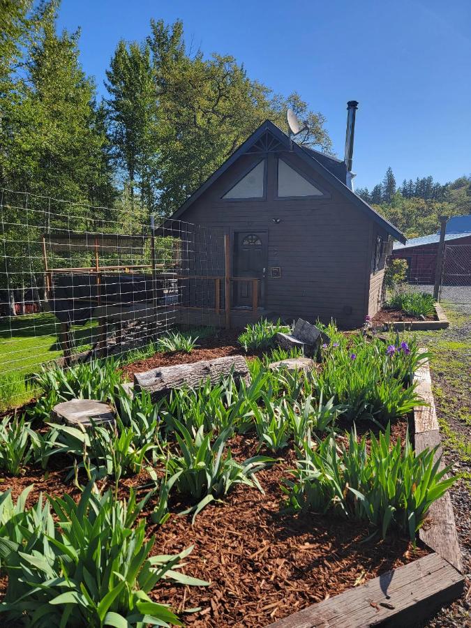 Cozy Cabin, near Mosier and Hood River - Bed and Breakfast Mosier
