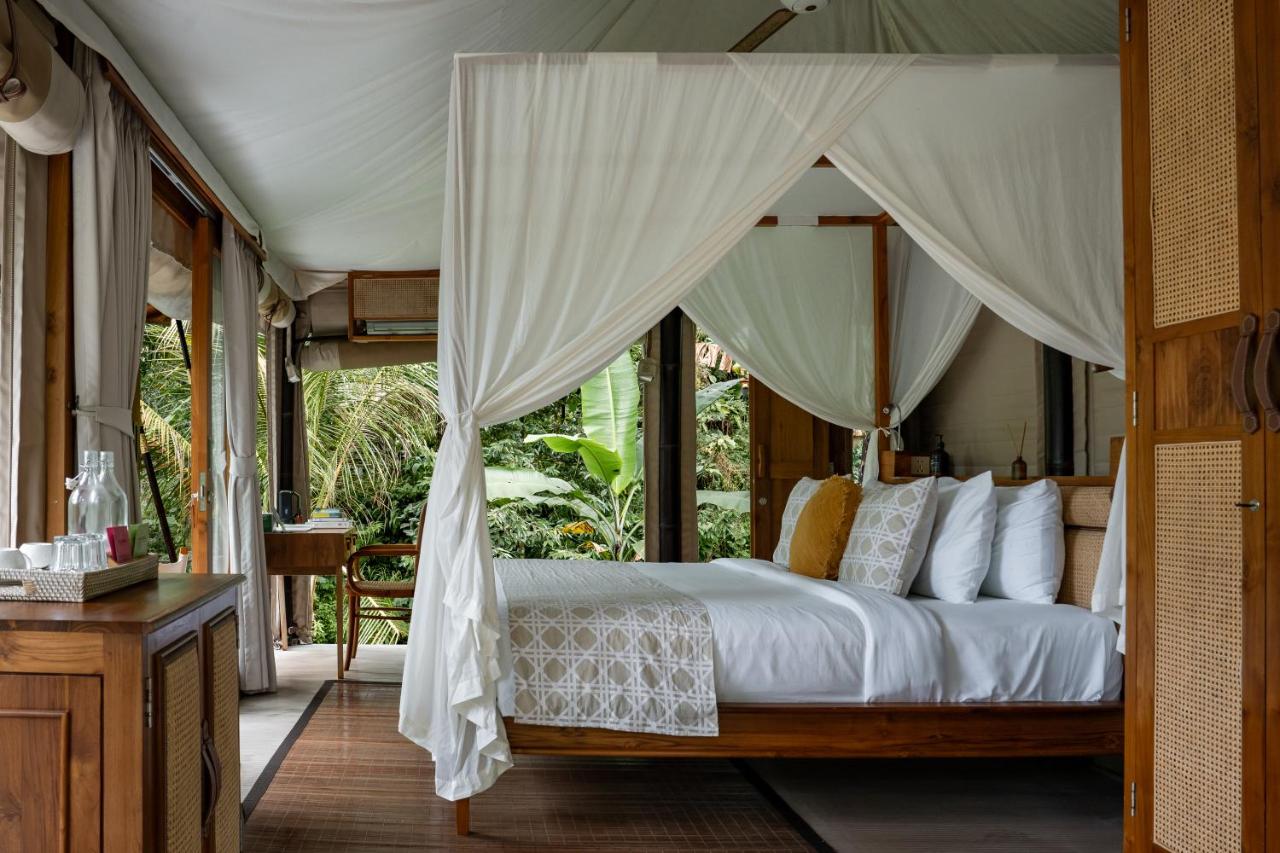  Mountain View Tent