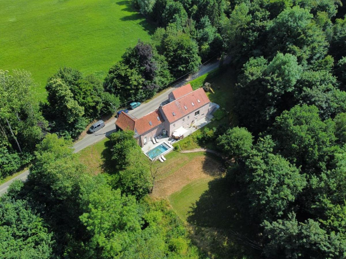 La Canopée des Arbres, Anna - B&B Ellezelles