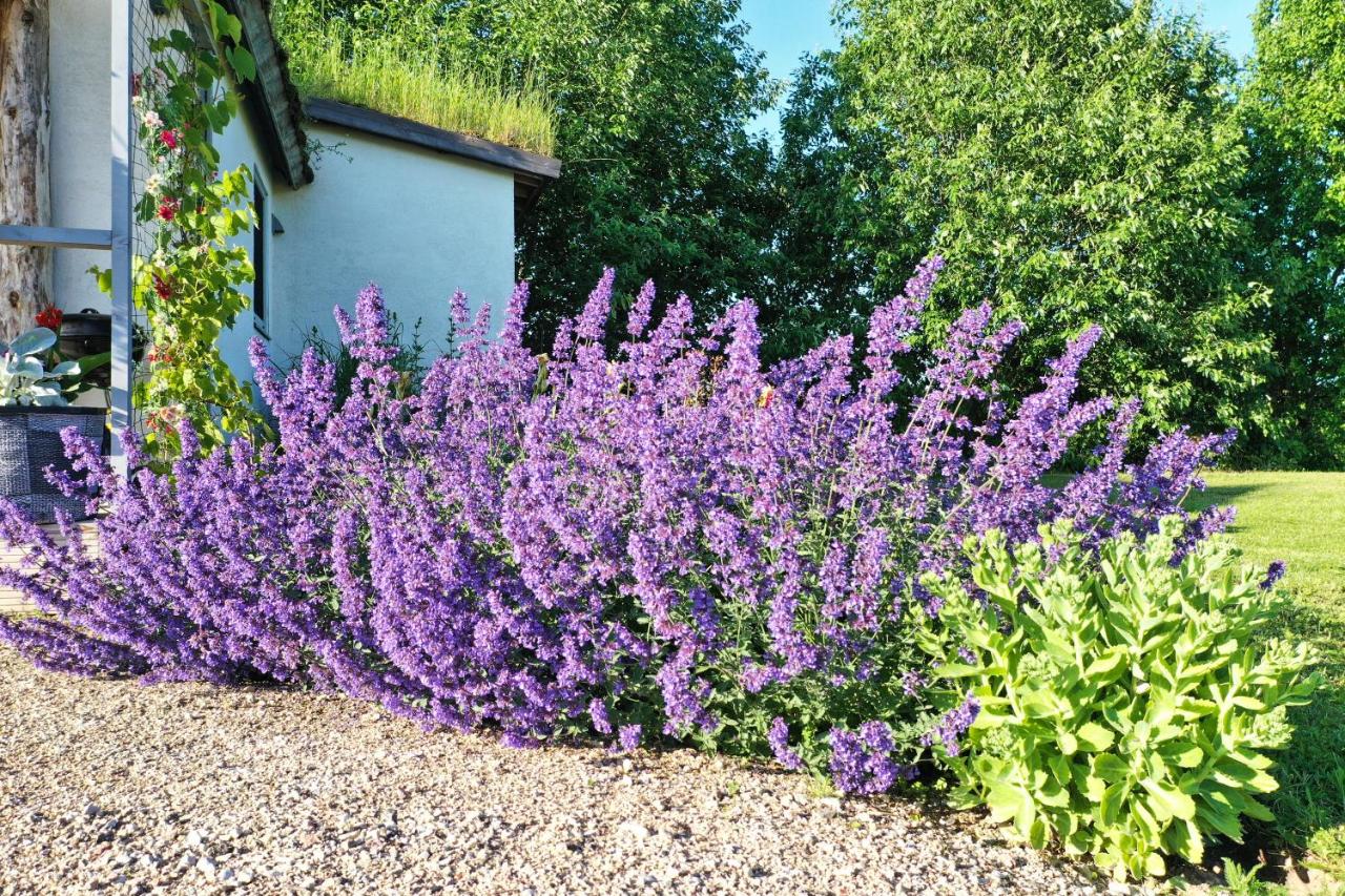 Kevade talu puhkemaja - B&B