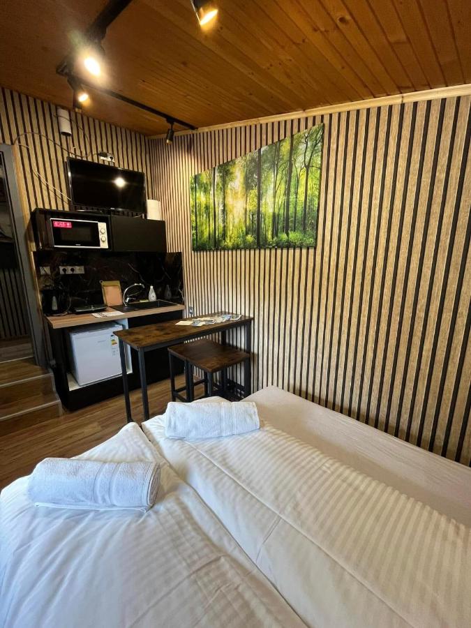 Appartement Loft 1 Chambre