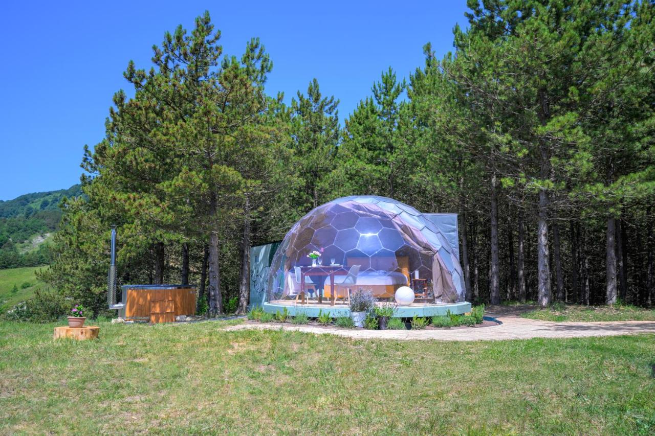 Bubble Room Experience - B&B