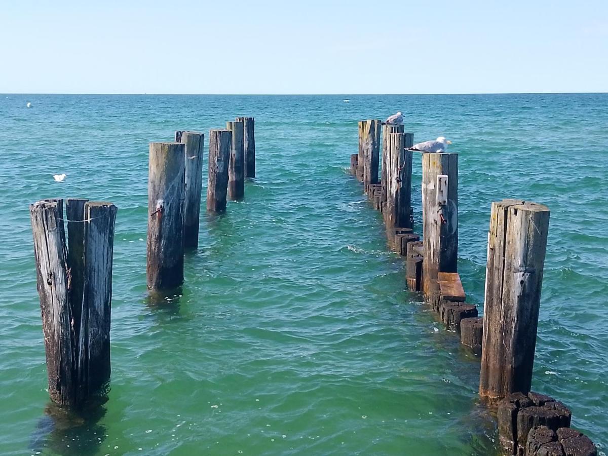 Ahoi Zingst - Chambres d’hôtes Zingst