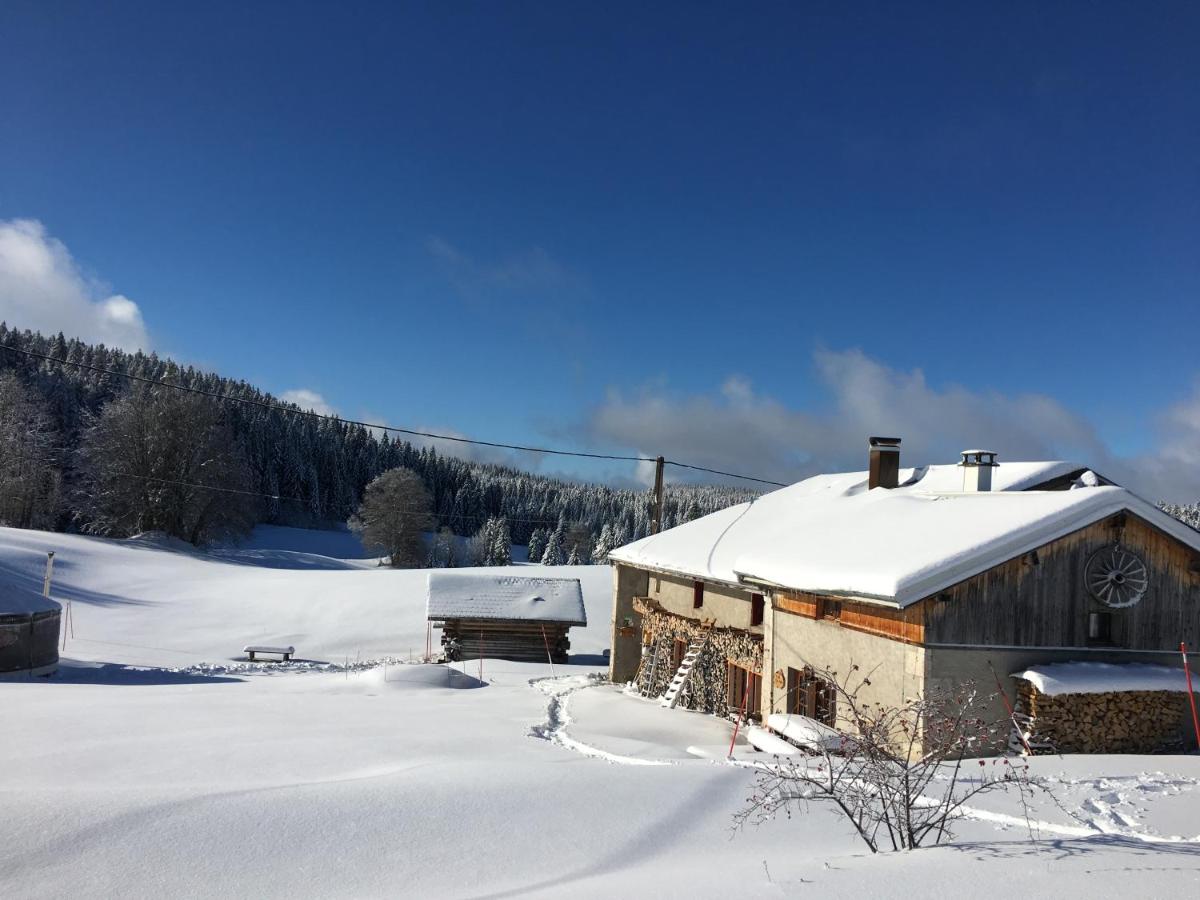 Séjours nature et bien être en YOURTE - B&B La Pesse