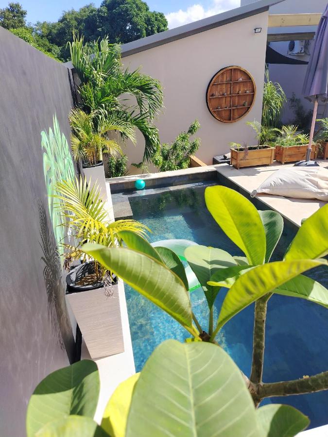 Monstera Lodge - Bed and Breakfast Saint-Louis