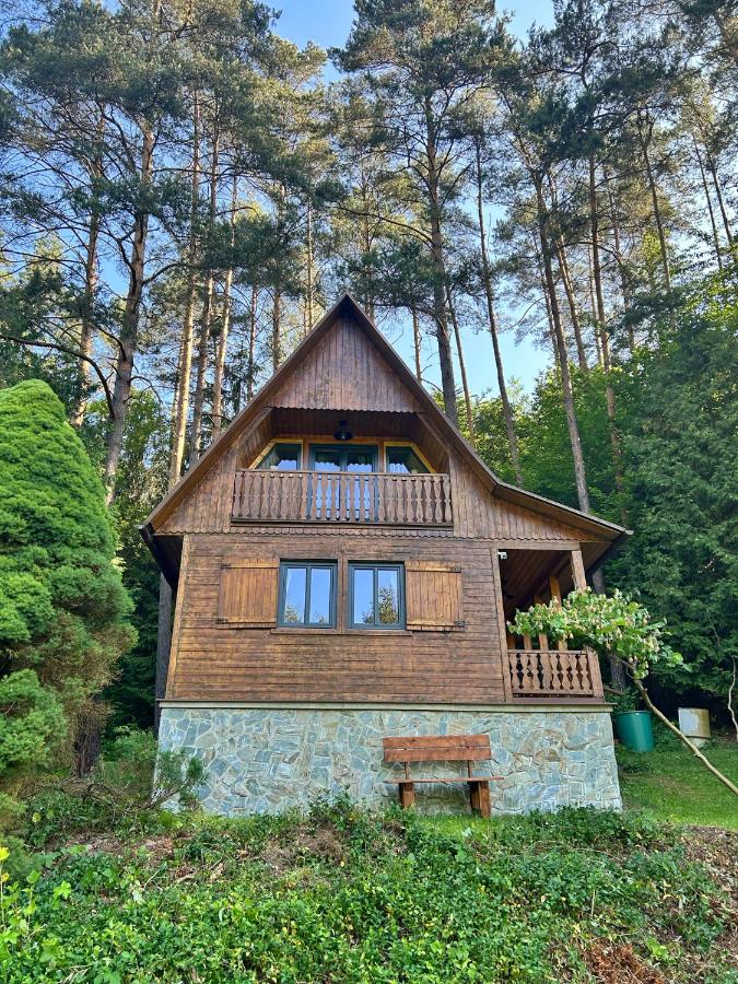 Chata za dubem - B&B