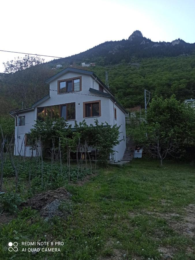 Hamsiköy Vadi konaklama - Bed and Breakfast Maçka