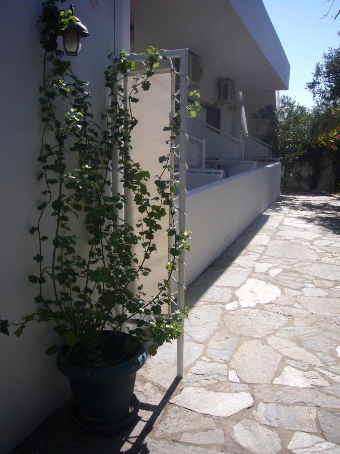 Monolocale Budget (2 Adulti)
